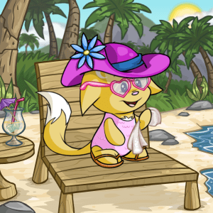 Day at the Beach Background (980np), Kacheek Farm Girl Shoes (35,000np), Pink Kacheek Bathing Suit (67,000np), Pretty Pink Flower Hat (45np), Heart Shaped Sunglasses (200np), Fuzzy White Towel (7000np)